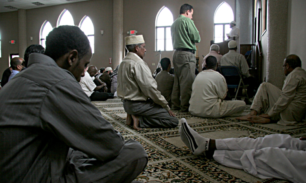 4515496761 ed95fafa9f o mod